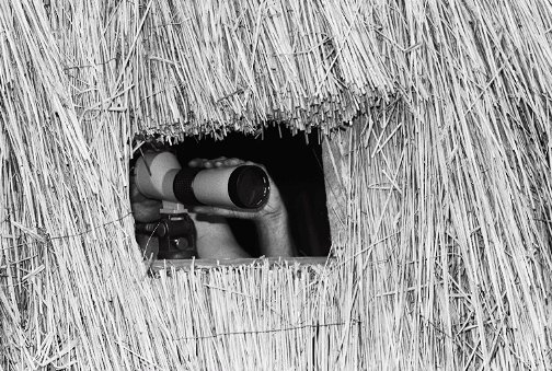 A thatched straw blind