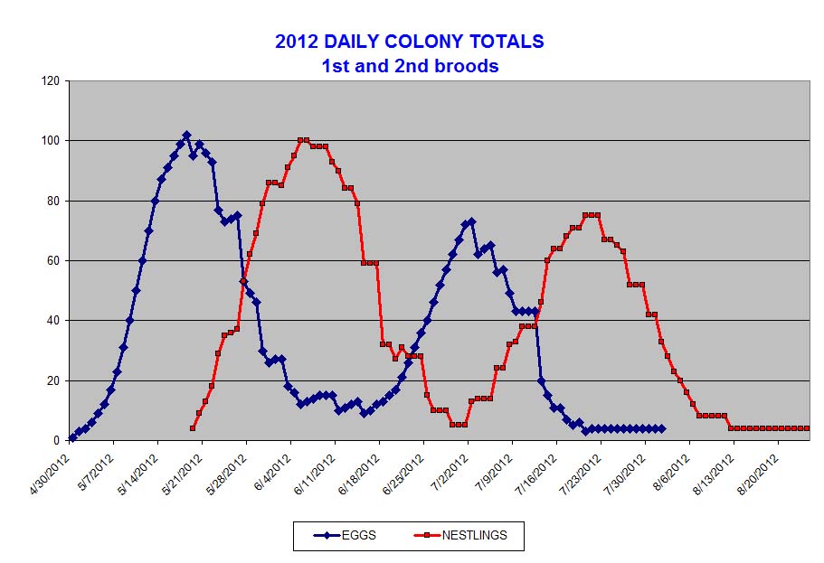 2012 Barn swallow colony nesting chart