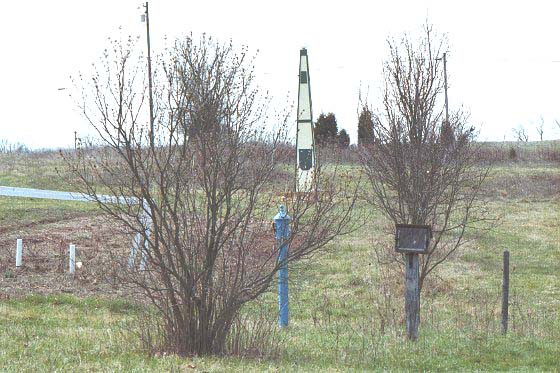 American kestrel habitat surrounding their tower
