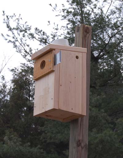 A flicker nest box with sliding hole cover
