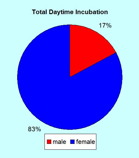 percent incubation by male kestrel
