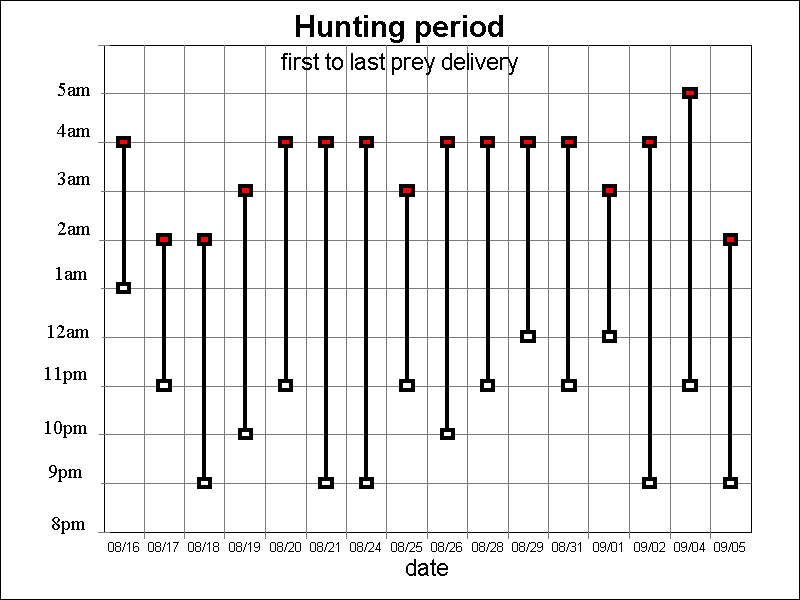 Barn owl hunting period by time of night