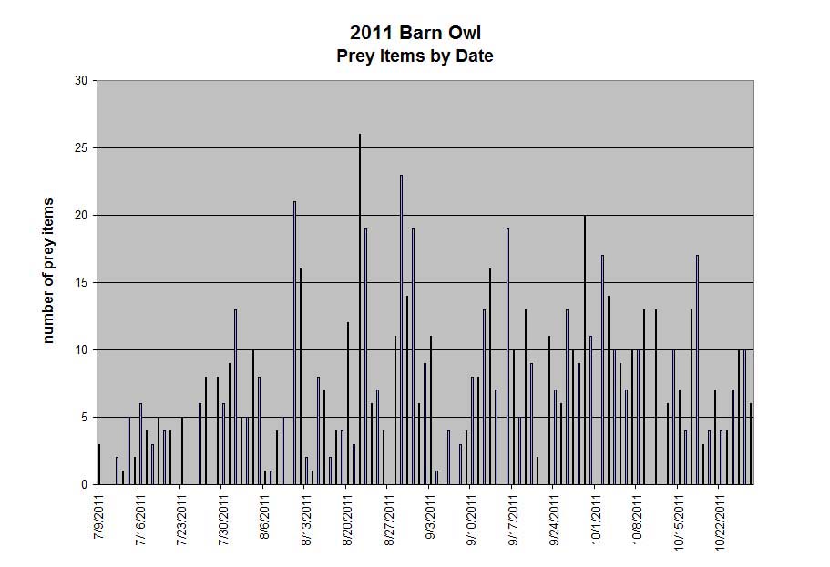 Number of barn owl prey items by date