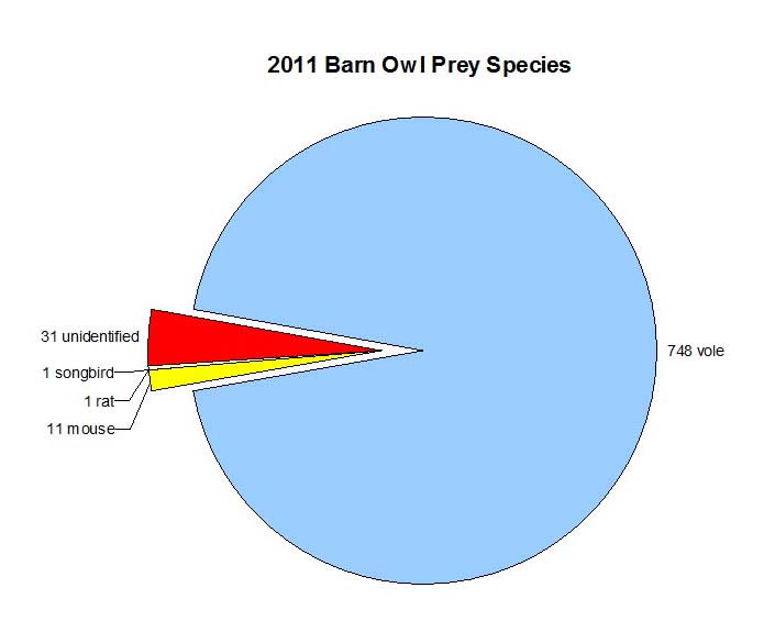 percentage of barn owl prey items by species