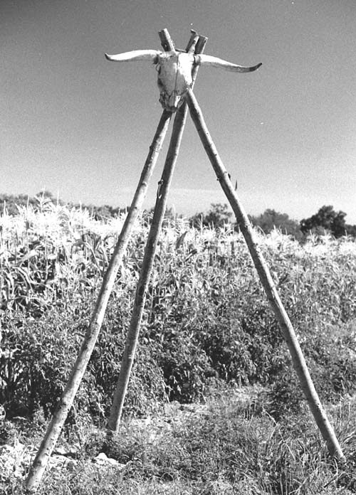 butchering tripod used as perch for birds